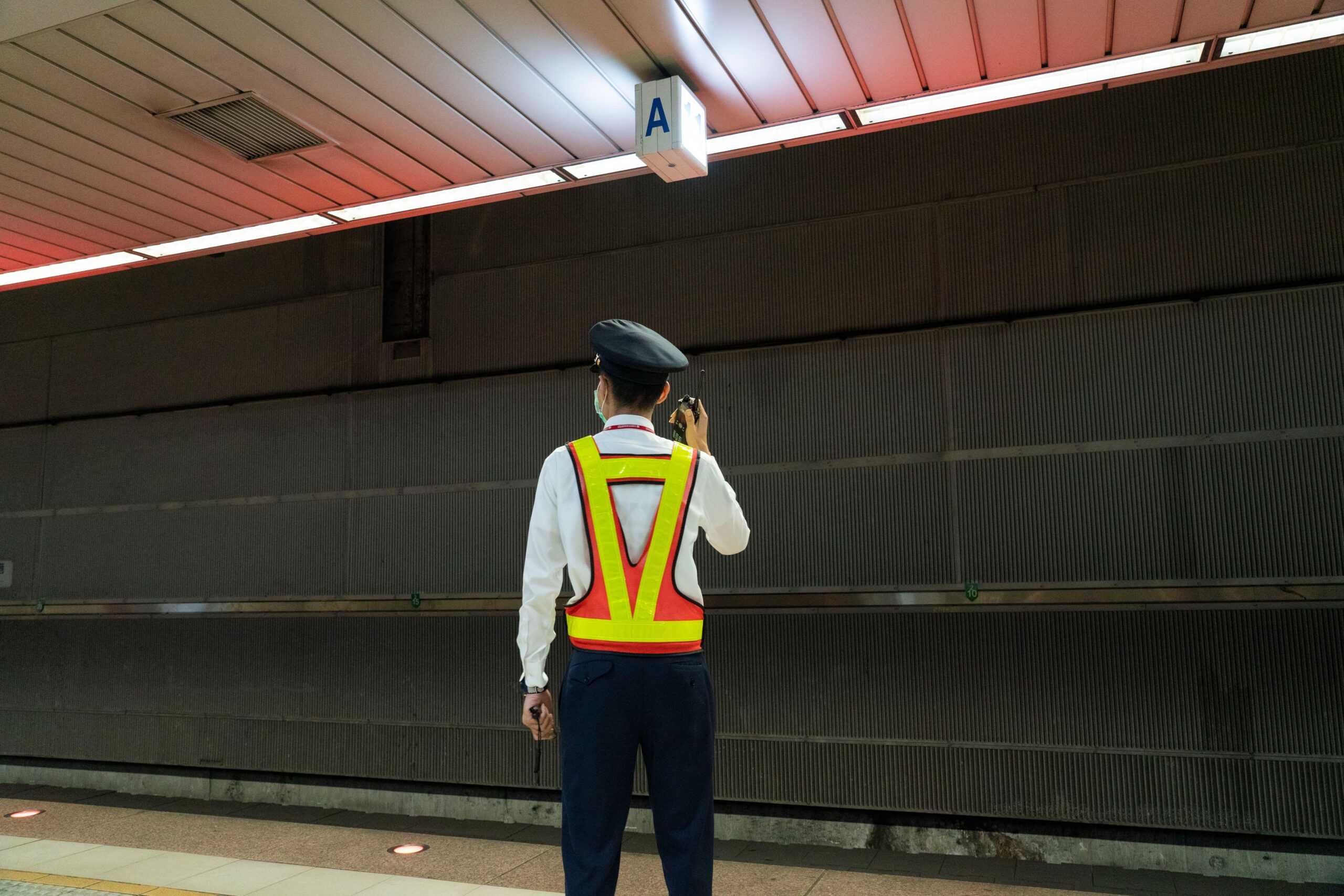 Servicios de seguridad en licitaciones públicas: guía completa